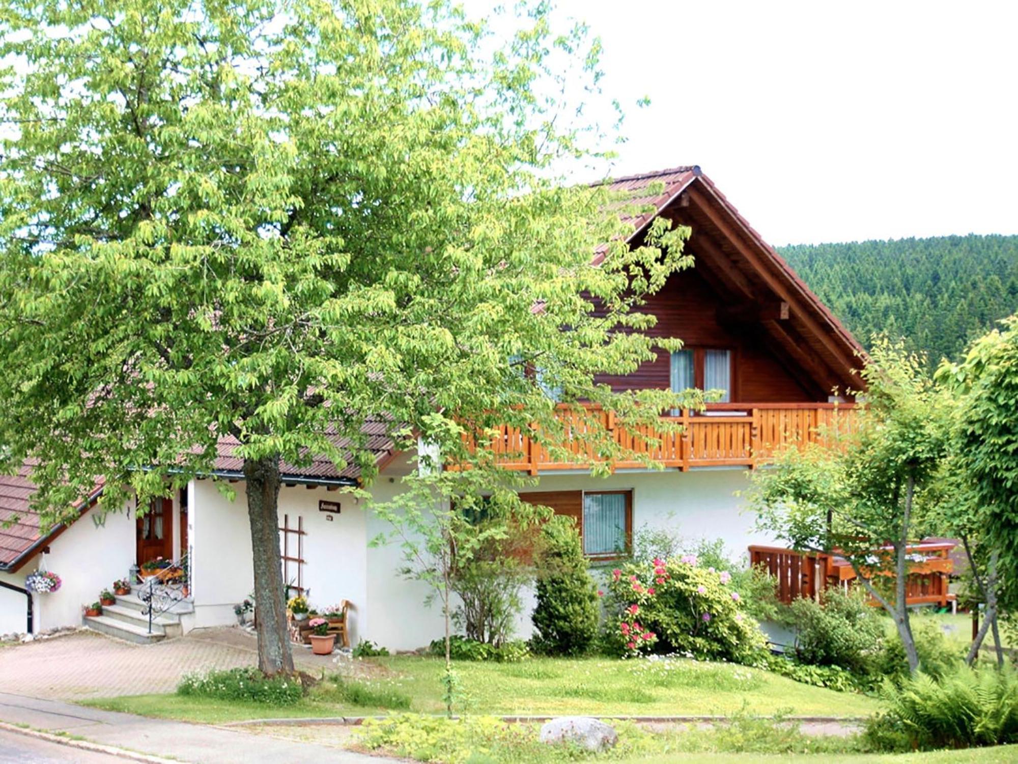 Апартаменти Haus Doerflinger Frau Marianne Шлухзе Екстер'єр фото